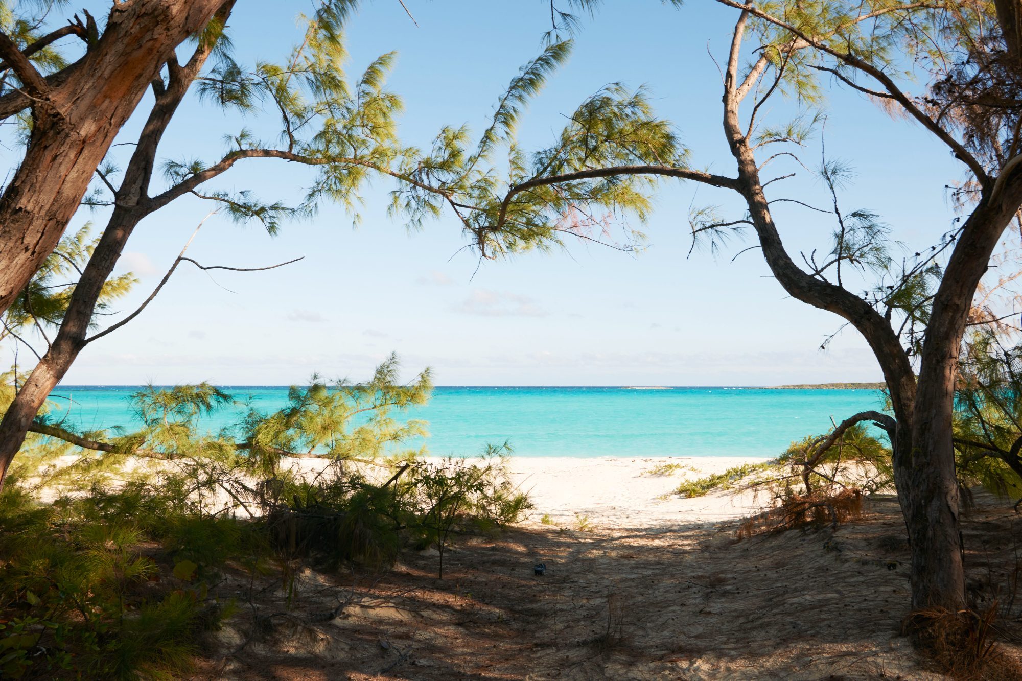 Norman's Cay — photograph 2